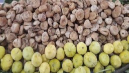 Kuru incirin ihracat seyahati 15 Ekim’de başlayacak