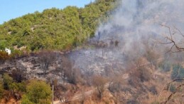Lider Vekili Özdemir yangın bölgesinde