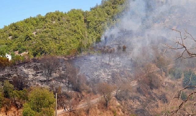 Lider Vekili Özdemir yangın bölgesinde