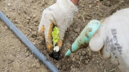 Ömür Bahçesi’nde kışlık fideler toprakla buluştu