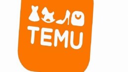 Temu’nun Büyük Hacimli Teslimatları Türkiye’de Horoz Lojistik’e Emanet