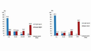 Teşebbüs Özelliklerine Nazaran Dış Ticaret İstatistikleri, 2024
