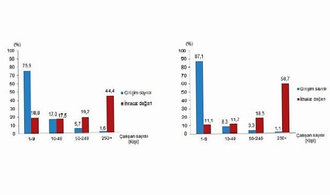 Teşebbüs Özelliklerine Nazaran Dış Ticaret İstatistikleri, 2024