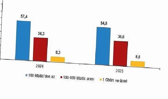 Teşebbüslerde Bilişim Teknolojileri Kullanım Araştırması, 2025