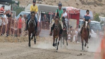 Türkiye’nin en başarılı atları Menemen’de yarışacak