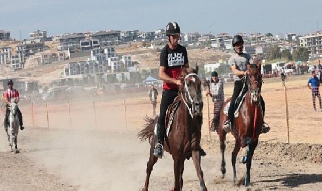 Türkiye’nin şampiyon atları Menemen’de yarıştı