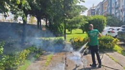 Vektörle çabaya güçlü dayanak