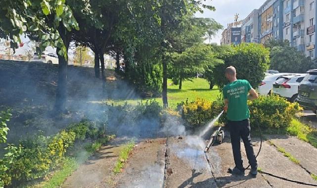 Vektörle çabaya güçlü dayanak