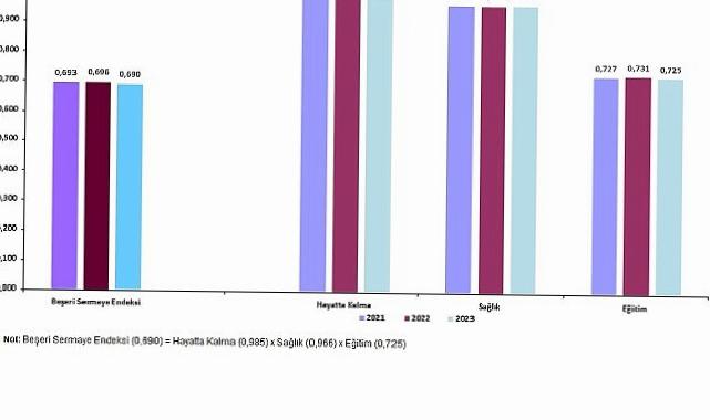 Vilayet Düzeyinde Beşeri Sermaye Endeksi, 2021-2023