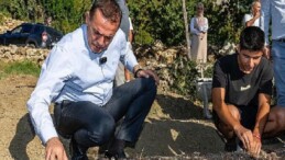 Yenişehir Belediyesinin hibe ettiği safran soğanları toprakla buluştu