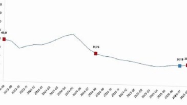 Yurt İçi Üretici Fiyat Endeksi, Ağustos 2025