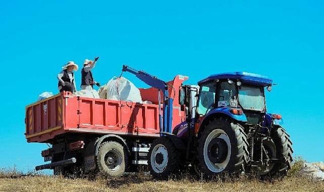 1.140 dekarlık alanda biberiye vakti