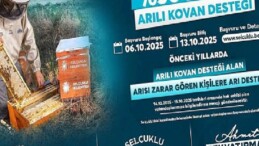%50 Hibeli Arılı Kovan Dayanağında Son Müracaat Tarihi 13 Ekim