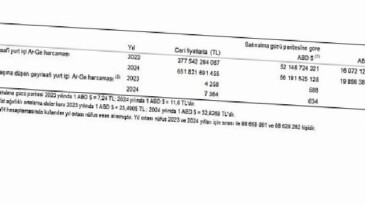 Araştırma-Geliştirme Faaliyetleri Araştırması, 2024