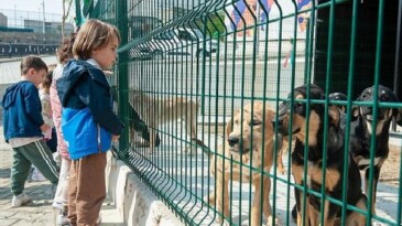 Bakioğlu Can Dostlarımız Ömür Merkezi öğrencileri ağırlıyor