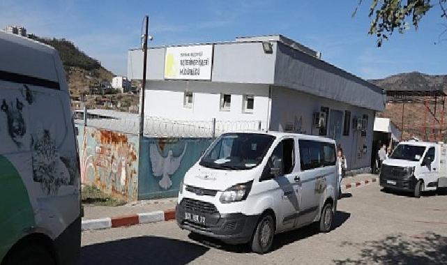 Bayraklı’da gerçeği aratmayan tatbikat – Hayvan barınağında orman yangını tatbikatı