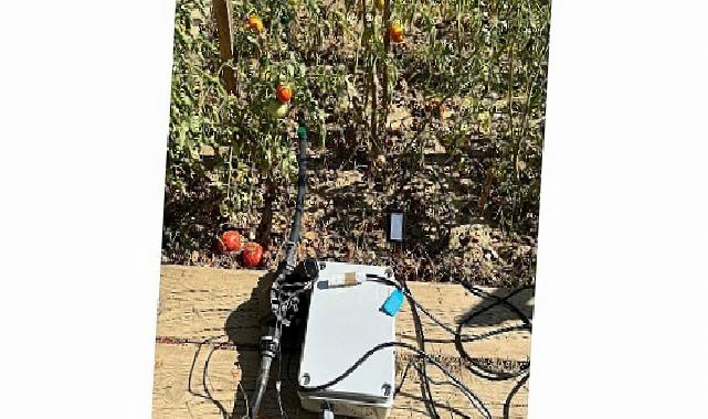 BİLGİ’li öğrencilerden sürdürülebilir tarıma katkı: Elektronik Denetimli Damla Sulama Sistemi