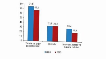 Bitkisel Üretim 2.Tahmini, 2025