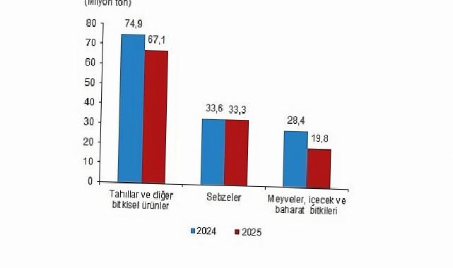 Bitkisel Üretim 2.Tahmini, 2025