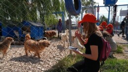 Borusan Pati Elçileri’nden sokağa terk edilmiş can dostlara mama, gözetici aile ve sahiplendirme takviyesi