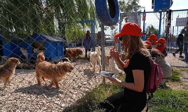 Borusan Pati Elçileri’nden sokağa terk edilmiş can dostlara mama, gözetici aile ve sahiplendirme takviyesi