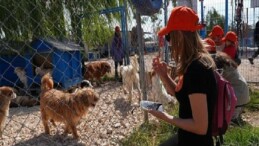 Borusan Pati Elçileri’nden sokağa terk edilmiş can dostlara mama, gözetici aile ve sahiplendirme takviyesi