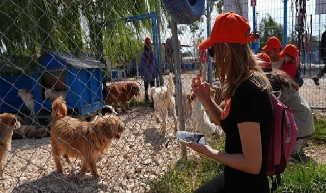 Borusan Pati Elçileri’nden sokağa terk edilmiş can dostlara mama, gözetici aile ve sahiplendirme takviyesi
