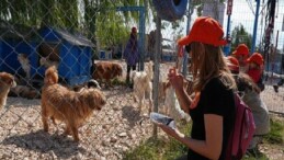 Borusan Pati Elçileri’nden sokağa terk edilmiş can dostlara mama, kollayıcı aile ve sahiplendirme dayanağı