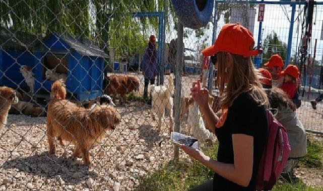Borusan Pati Elçileri’nden sokağa terk edilmiş can dostlara mama, kollayıcı aile ve sahiplendirme dayanağı