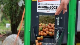 Büyükşehir’in ceviz soyma makineleri üreticilerin hizmetinde