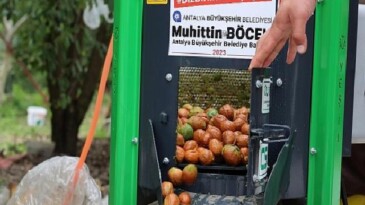 Büyükşehir’in ceviz soyma makineleri üreticilerin hizmetinde