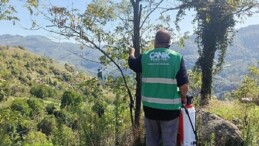 Canik Belediyesi’nden Kokarca Zararlısına İlaçla Müdahale