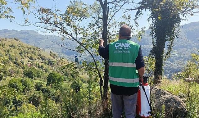 Canik Belediyesi’nden Kokarca Zararlısına İlaçla Müdahale