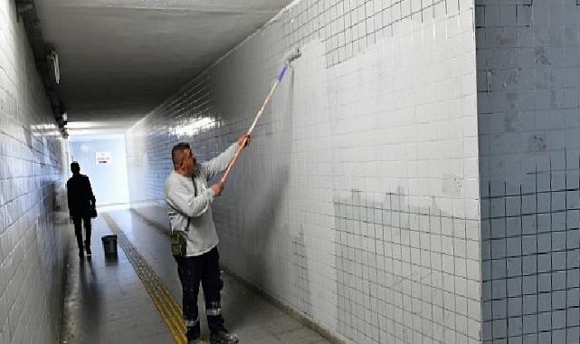 Çiğli’de sonbahar bakımı: Ağaçlar budanıyor, kent güzelleşiyor