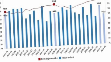Dış Ticaret Endeksleri, Ağustos 2025