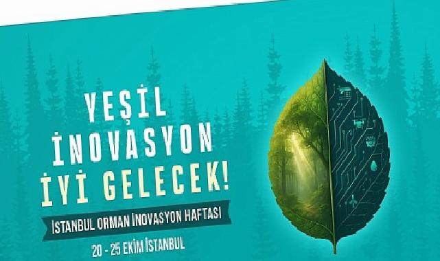 Dünya Ormancılığının Geleceği İstanbul’da Konuşulacak