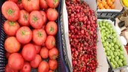 Efes Tarlası Hayat Köyü’nde Üretici Pazarı 19 Ekim’de kapılarını açıyor