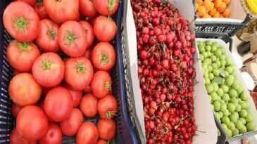 Efes Tarlası Hayat Köyü’nde Üretici Pazarı 19 Ekim’de kapılarını açıyor