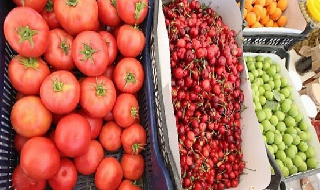 Efes Tarlası Hayat Köyü’nde Üretici Pazarı 19 Ekim’de kapılarını açıyor