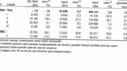 Hanehalkı Yurt İçi Turizm, II. Çeyrek: Nisan-Haziran 2025