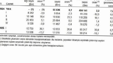 Hanehalkı Yurt İçi Turizm, II. Çeyrek: Nisan-Haziran 2025