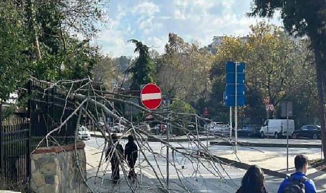 İBB Takımları Tam Takım Alanda