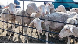 İnegöl Belediyesi İle İlçeler Ortası “Tarım Ve Hayvancılıkta Güç Birliği”