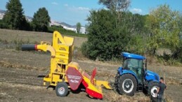 İnegöl’ün Cerrah Kuru Fasulyesinde Hasat Zamanı