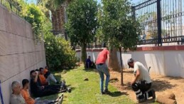 İzmir Adliyesinin peyzaj düzenlemesine EÜ Bayındır MYO’dan takviye