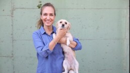 Karşıyaka’da can dostlar için 25 ton mama toplandı