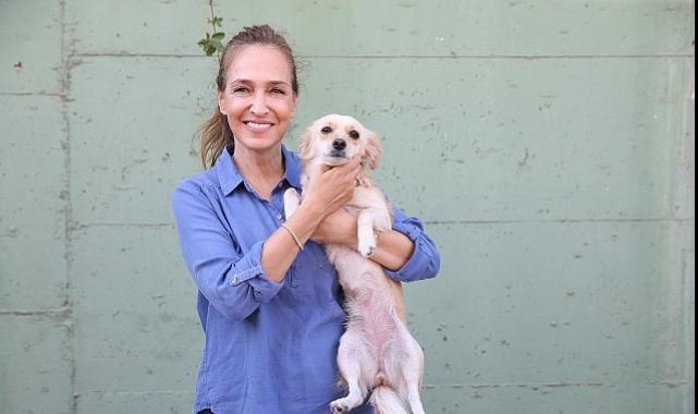 Karşıyaka’da can dostlar için 25 ton mama toplandı