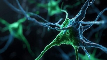 Kaspersky, Windows Server sistemlerini amaç alan PassiveNeuron siber casusluk operasyonunu ortaya çıkardı