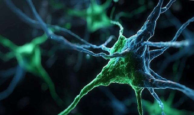 Kaspersky, Windows Server sistemlerini amaç alan PassiveNeuron siber casusluk operasyonunu ortaya çıkardı