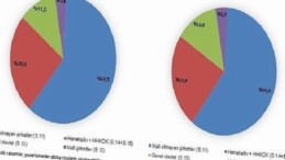 Kurumsal Kesim Hesapları, 2024